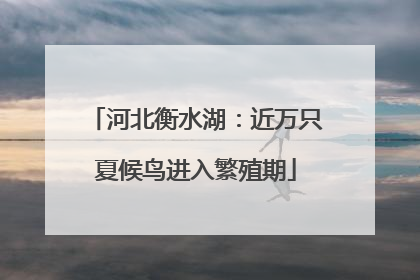 河北衡水湖：近万只夏候鸟进入繁殖期